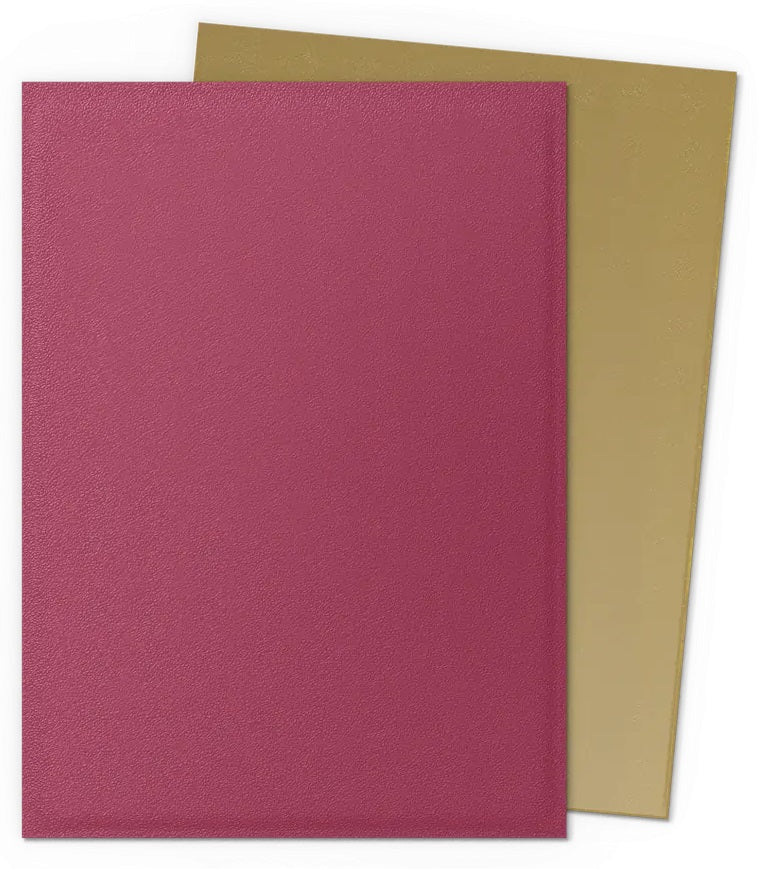 Dragon Shield Dual Matte Sleeves Pomegranate & Gold 100CT