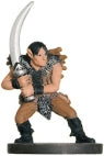 Wild Elf Raider (29) (D&D Angelfire)