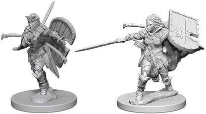 D&D Unpainted - Human Paladin Female PF