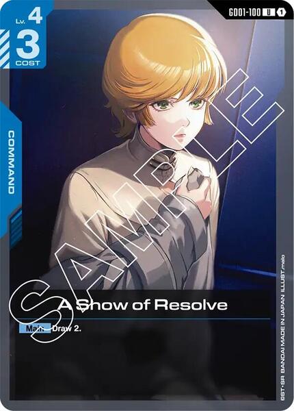 A Show of Resolve (100) [Newtype Rising]