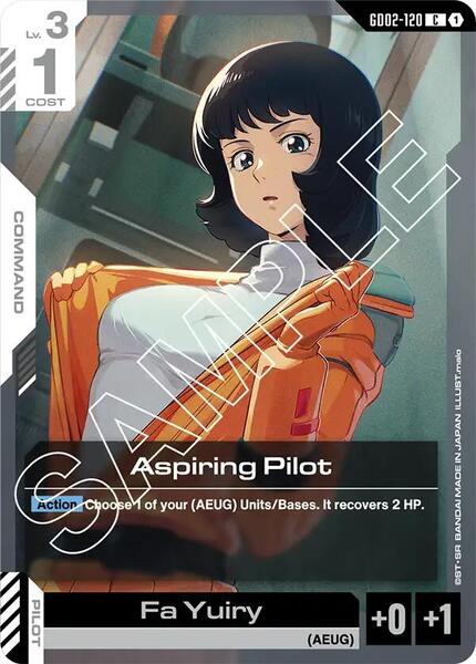 Aspiring Pilot (120) [Dual Impact]