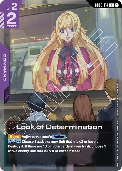Look of Determination (114) [Steel Requiem]