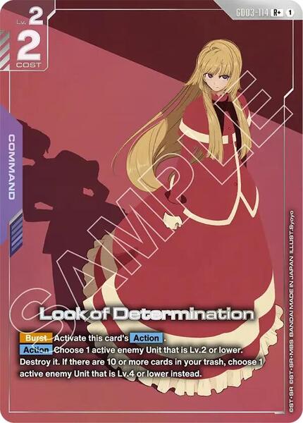 Look of Determination (R+) (114) [Steel Requiem]