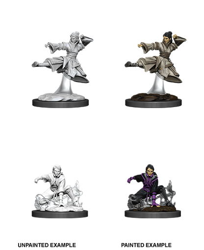 D&D Unpainted - Human Monk Female