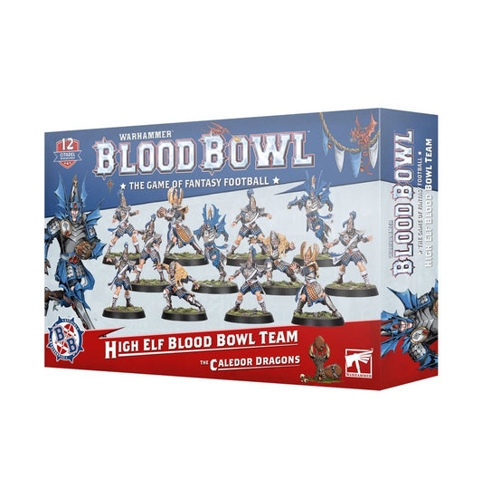 High Elf Blood Bowl Team