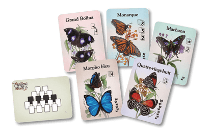 Papillons Célestes (FR)