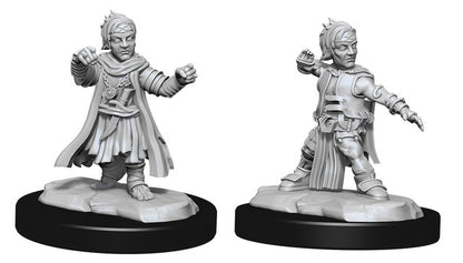 D&D Unpainted - Halfling Monk Male PF