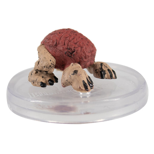 Adventures from Baldur's Gate - #06 Intellect Devourer (C)