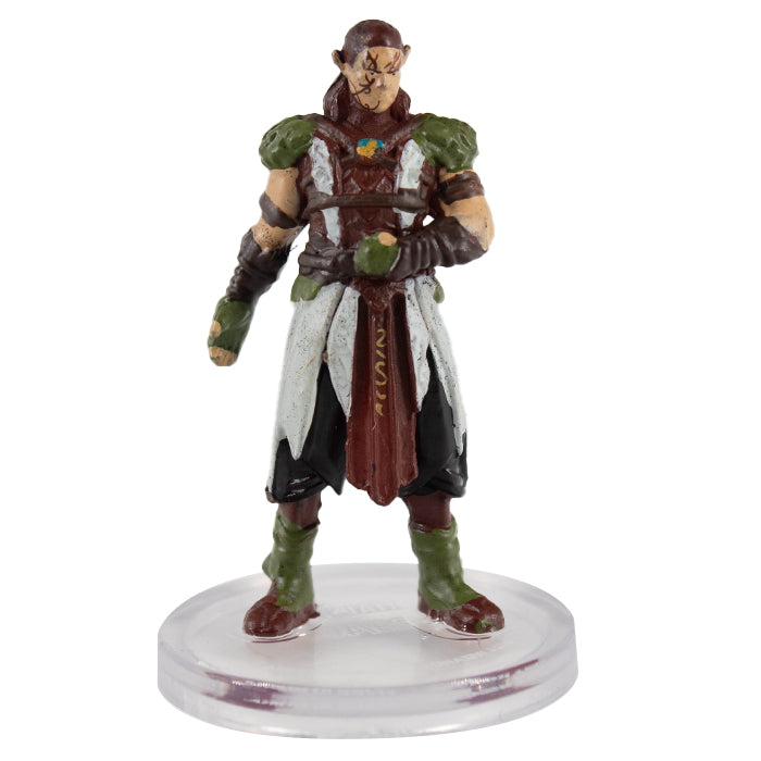 Adventures from Baldur's Gate - #29 Halsin (R)