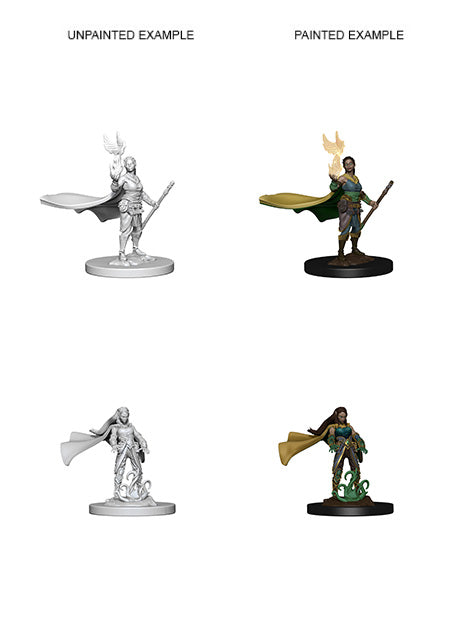 D&D Unpainted - Elf Druid Female