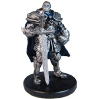 Half Orc Paladin (15) (D&D Rage of Demons)