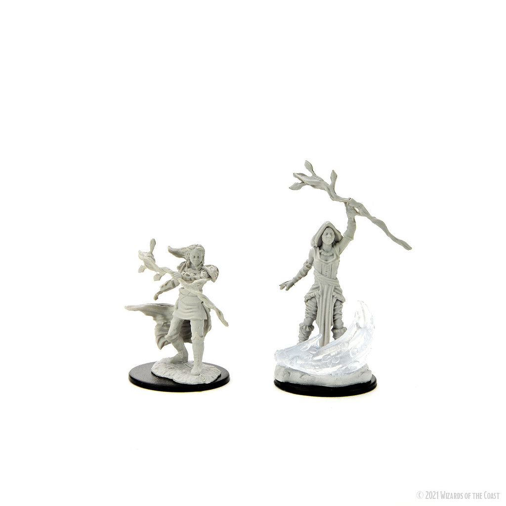 D&D Unpainted - Human Druid Female