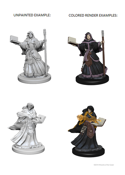 D&D Unpainted - Human Wizard Female