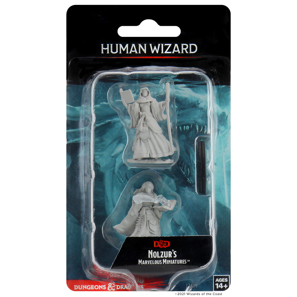 D&D Unpainted - Human Wizard Female