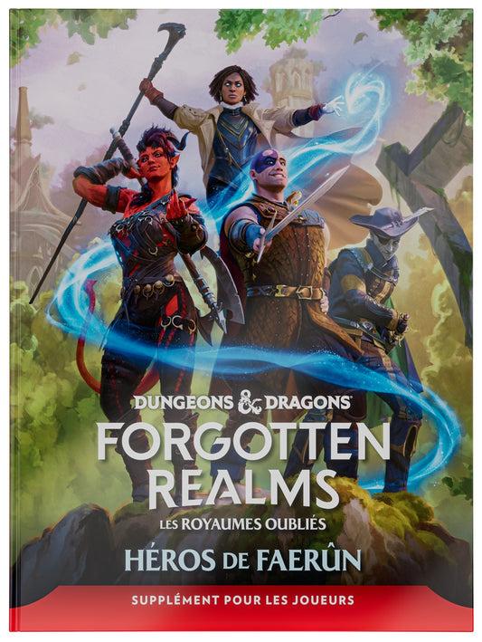 Dungeons & Dragons - Forgotten Realms Héros de Faerun (FR)
