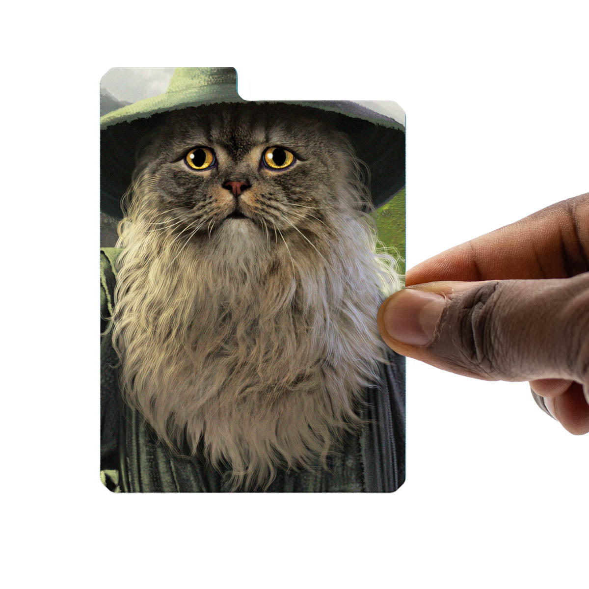 Legion Deck Box Movie Cats: Catdalf 100+
