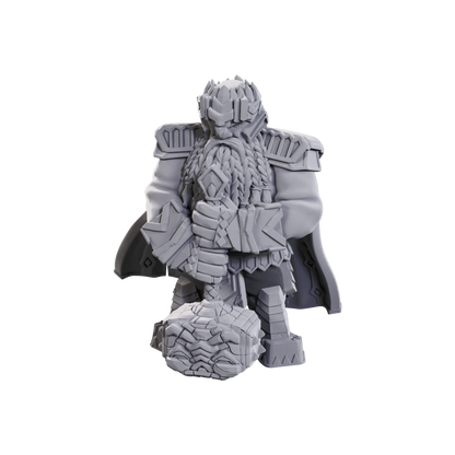 PF Unpainted - Male Dwarf Champion High-Level (90710)