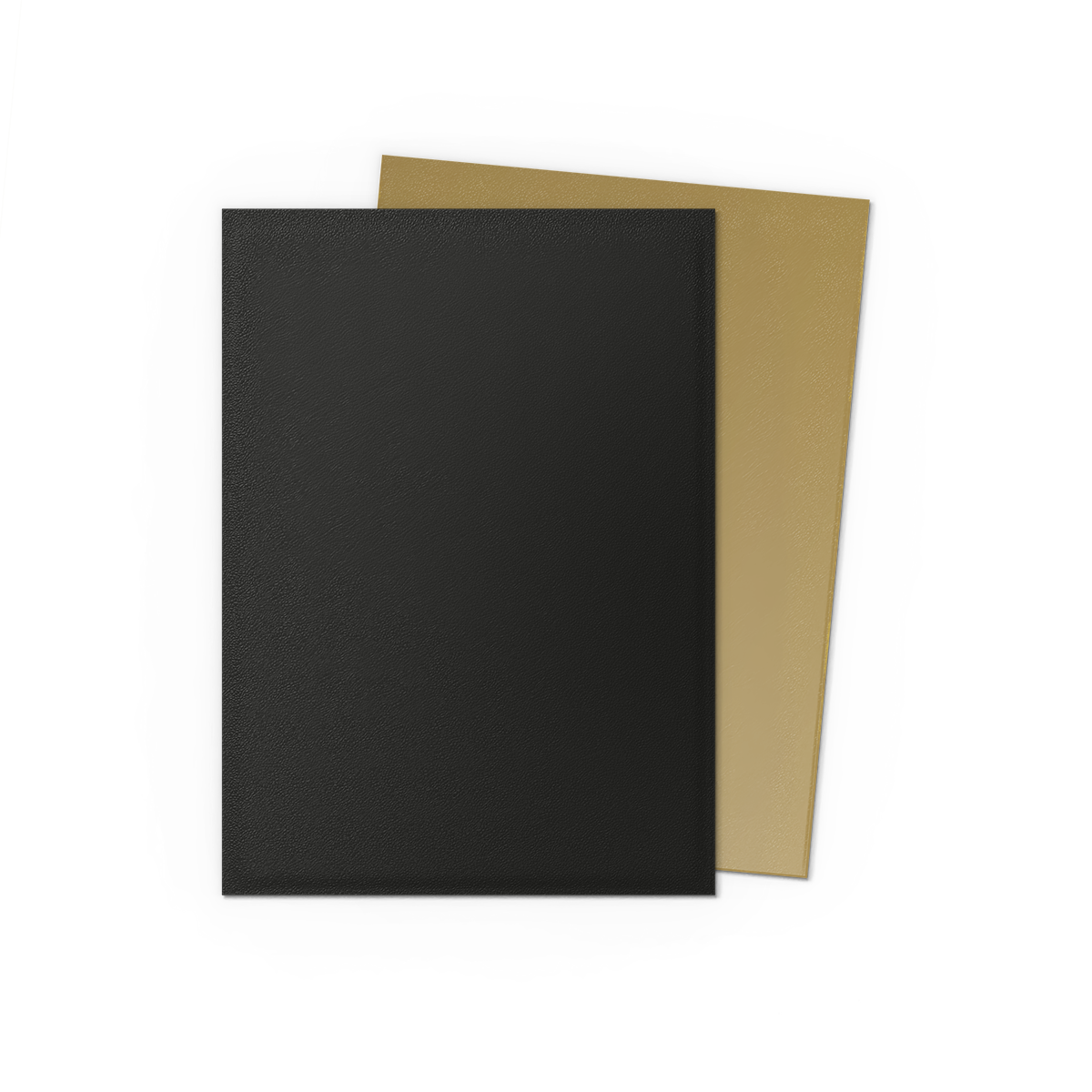 Dragon Shield Dual Matte Sleeves Black & Gold 100CT