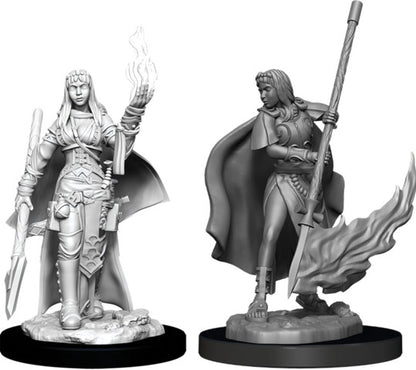 D&D Unpainted - Human Oracle Female PF