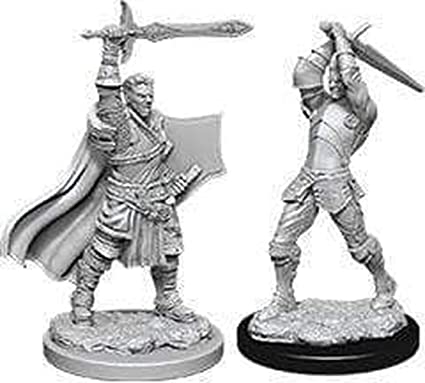 D&D Unpainted - Human Paladin Male