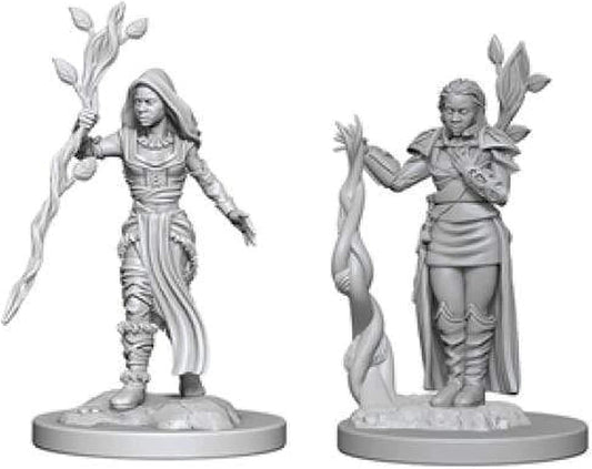 D&D Unpainted - Human Druid Female