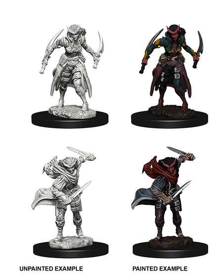 D&D Unpainted - Tiefling Rogue Female