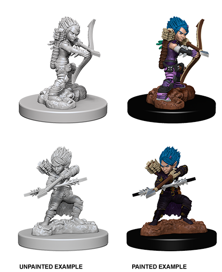 D&D Unpainted - Gnome Rogue Female PF