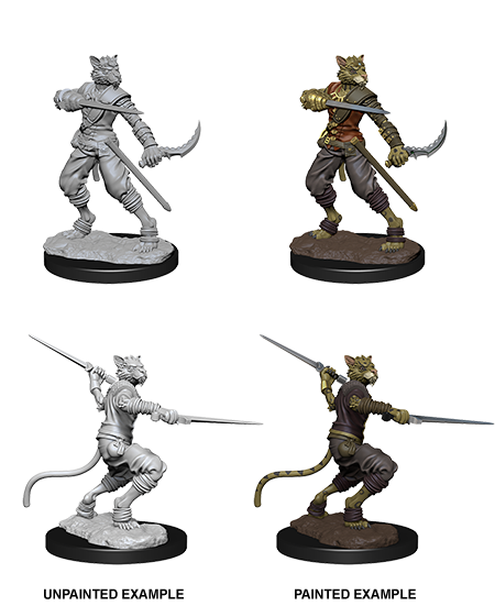 D&D Unpainted - Tabaxi Rogue Male