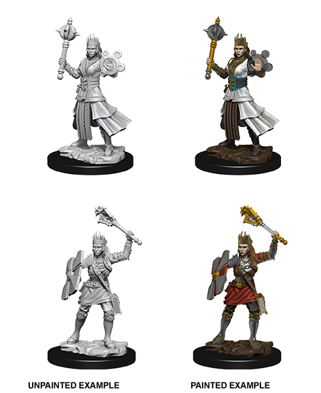 D&D Unpainted - Human Cleric Female
