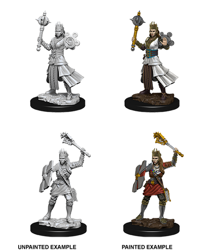 D&D Unpainted - Human Cleric Female