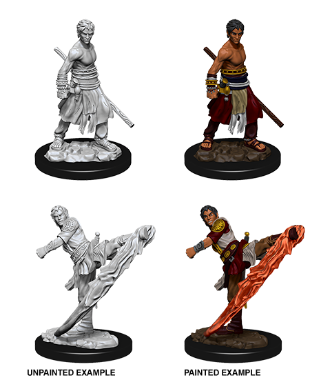 D&D Unpainted - Half-Elf Monk Male