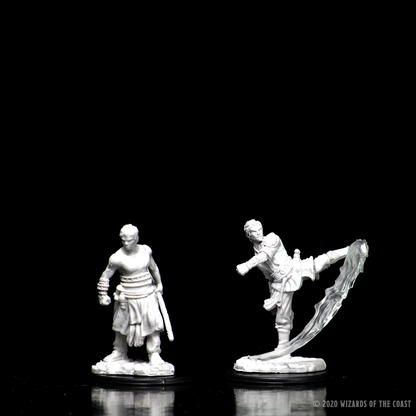 D&D Unpainted - Half-Elf Monk Male