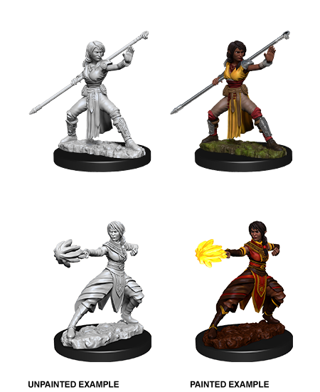 D&D Unpainted - Half-Elf Monk Female