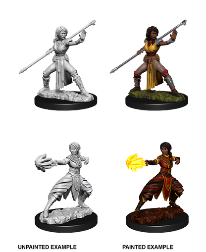 D&D Unpainted - Half-Elf Monk Female