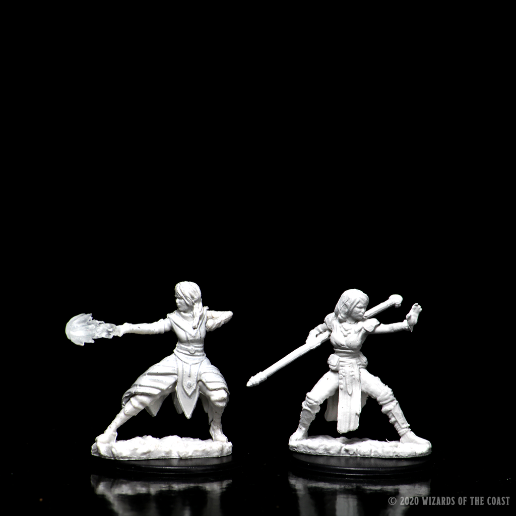 D&D Unpainted - Half-Elf Monk Female