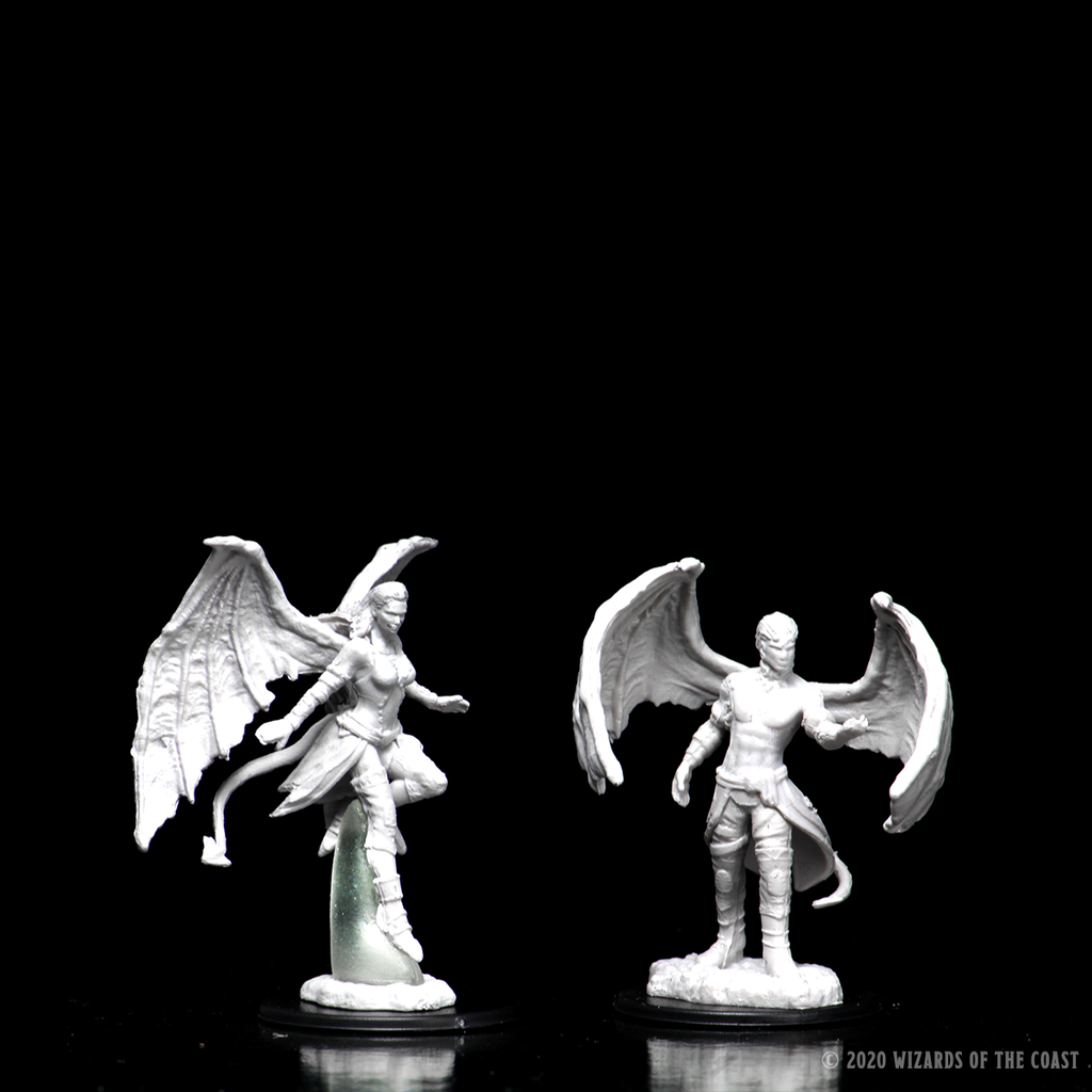 D&D Unpainted - Succubus & Incubus