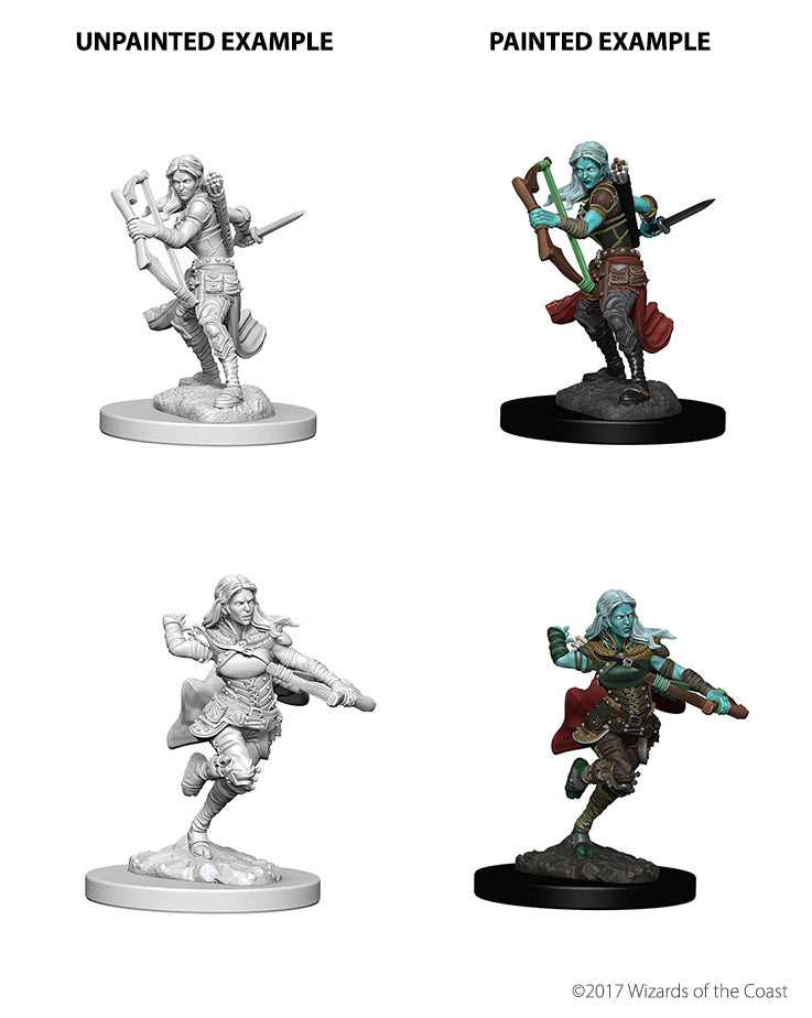 D&D Unpainted - Air Genasi Rogue Female