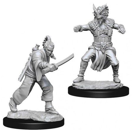 D&D Unpainted - Human Monk Male