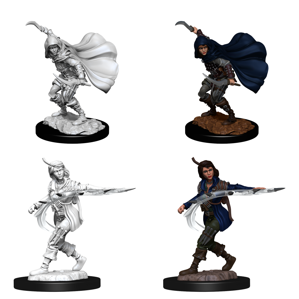 D&D Unpainted - Human Rogue Female PF