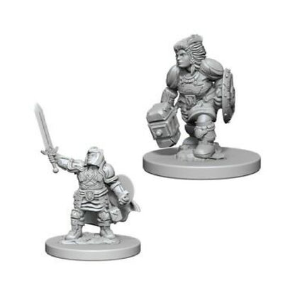 D&D Unpainted - Dwarf Paladin Female