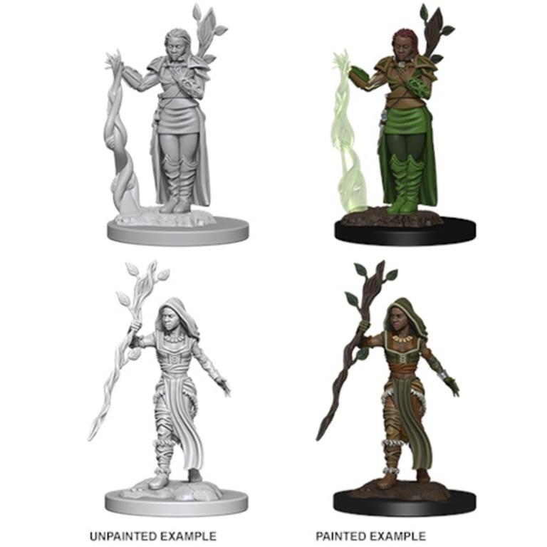 D&D Unpainted - Human Druid Female