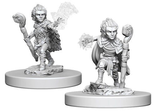 D&D Unpainted - Gnome Druid Male PF