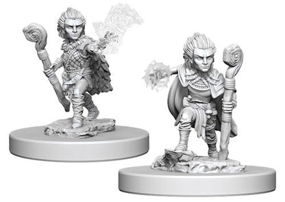 D&D Unpainted - Gnome Druid Male PF