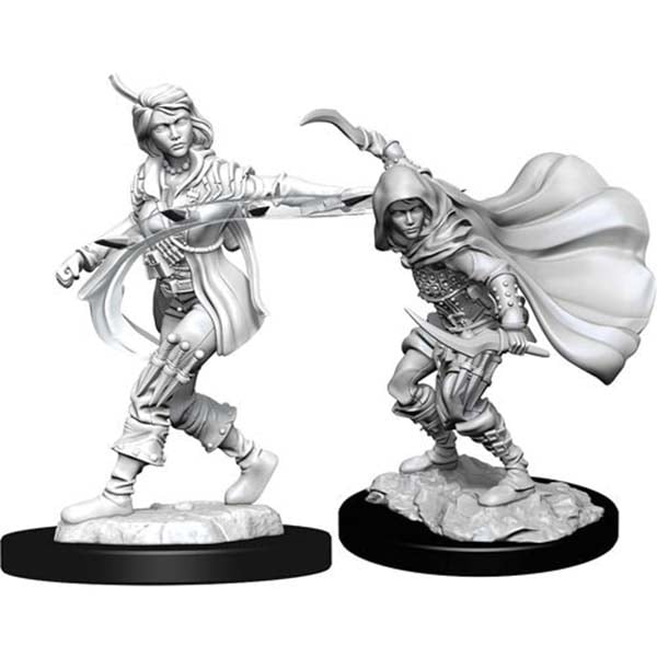 D&D Unpainted - Human Rogue Female PF